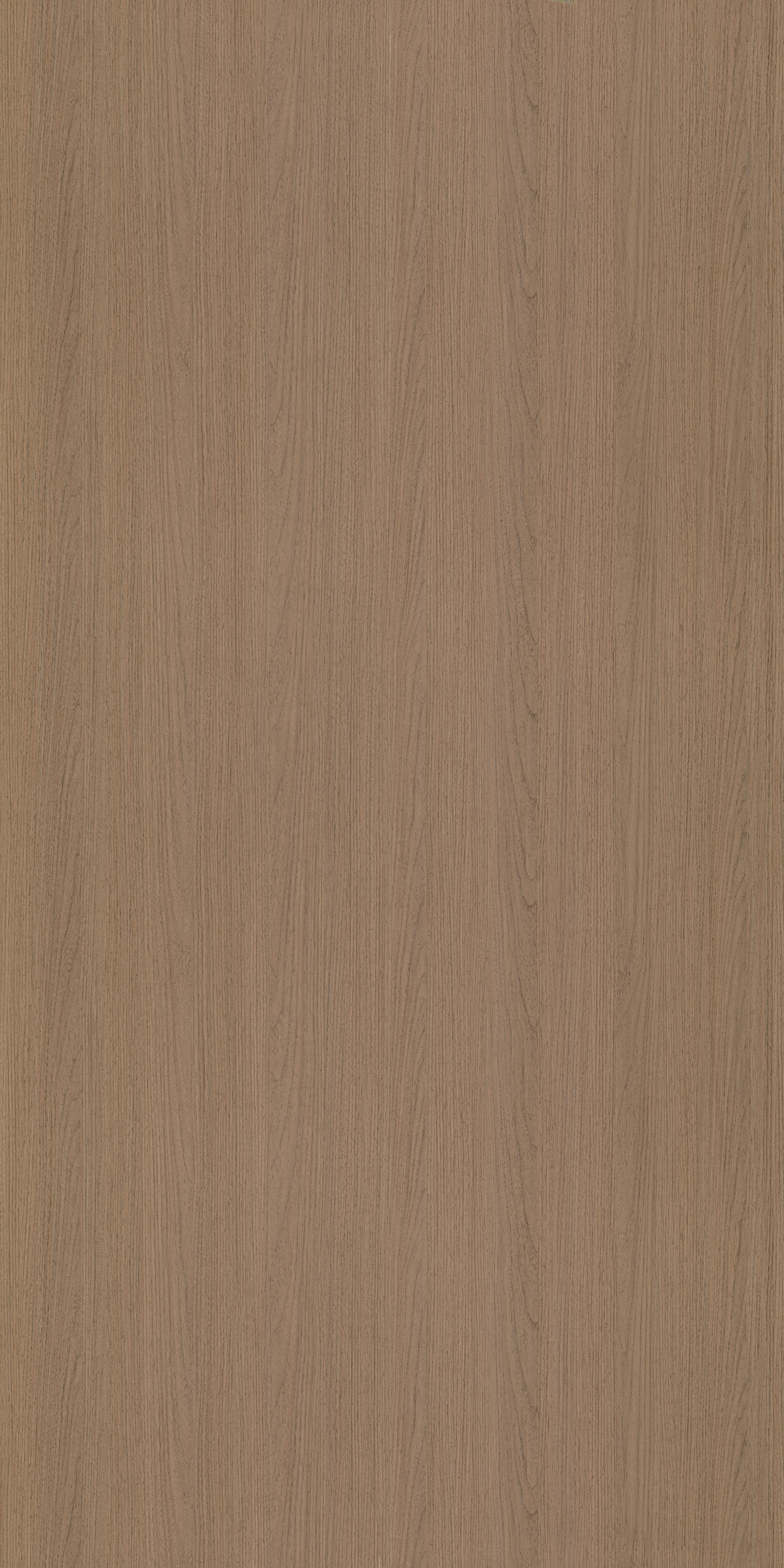 7209  GREY WOOD 